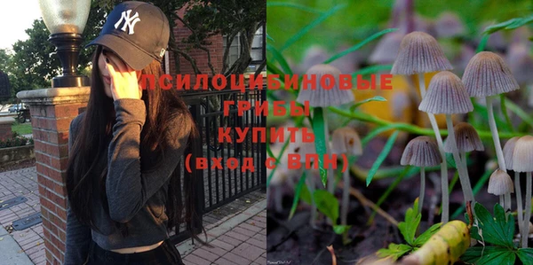 СК Володарск